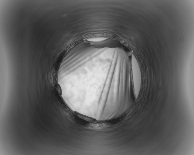 X0000084030712200703092010