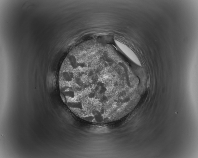 X0000084030715200703092010