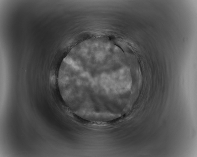 X0000084030720200703092010