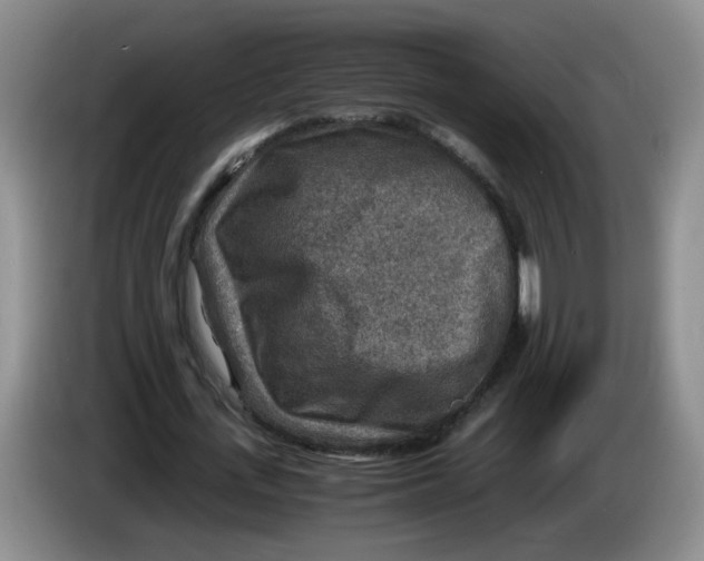 X0000084030723200703092009