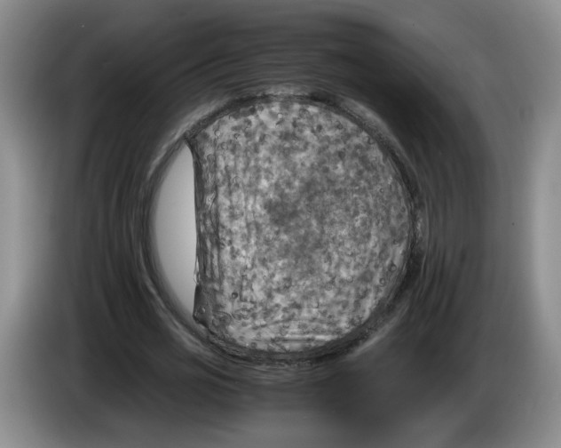 X0000084030725200703092009