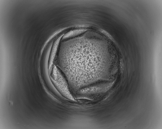 X0000084030726200703092009