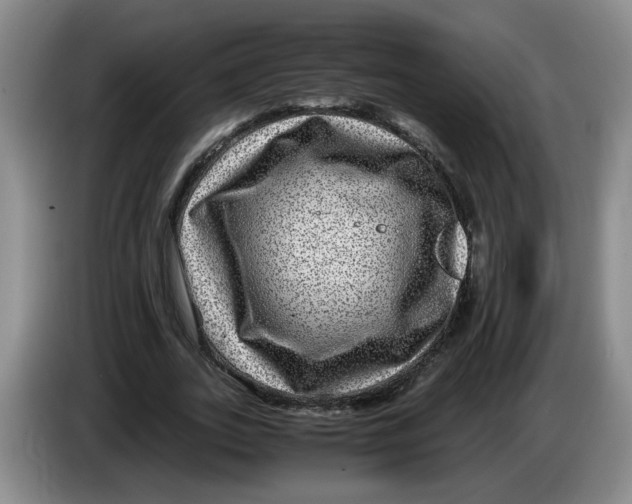 X0000084030727200703092009