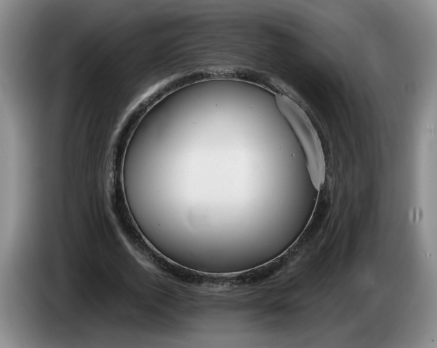 X0000084030728200703092009