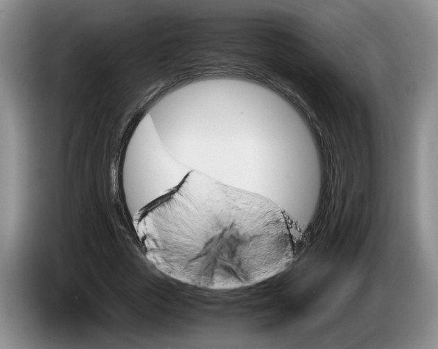 X0000084030729200703092009