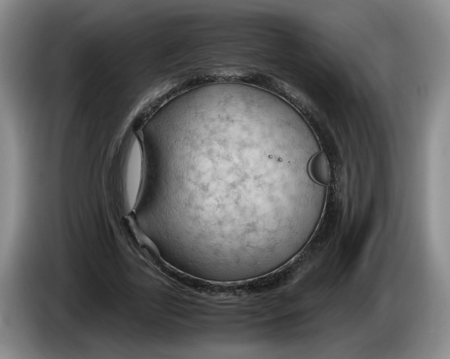 X0000084030731200703092009