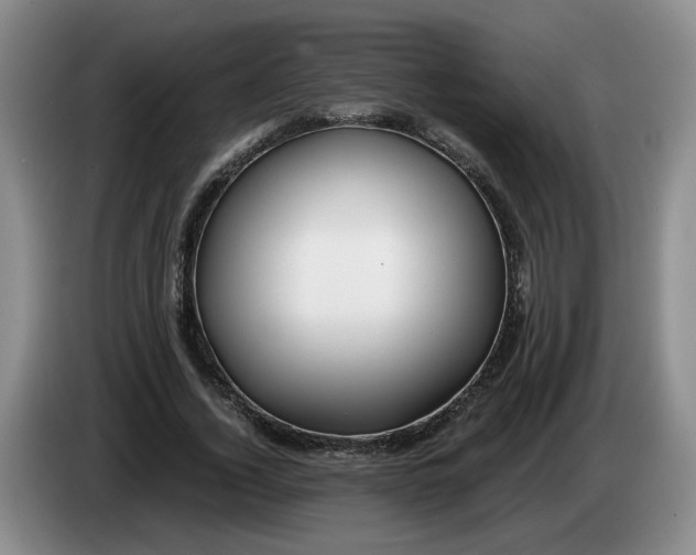 X0000084030732200703092009