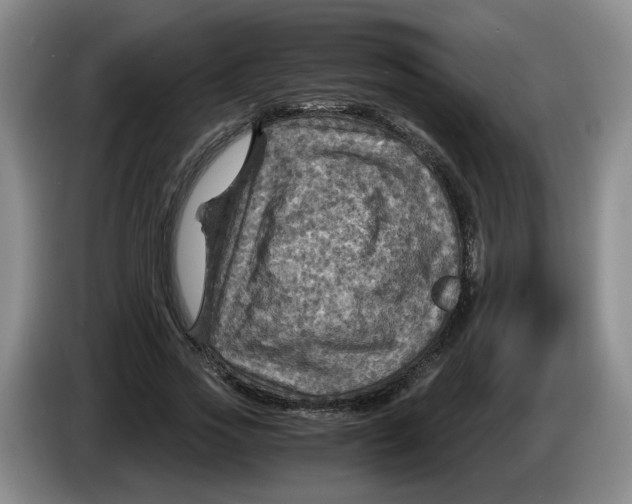 X0000084030733200703092010