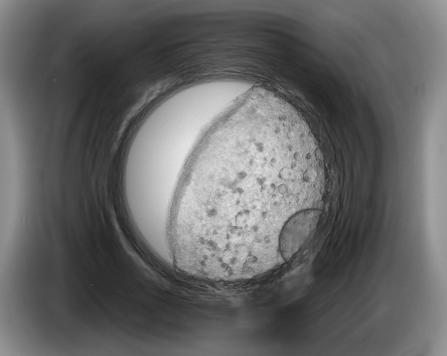 X0000084030734200703092010