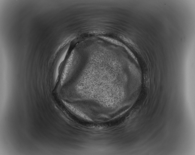 X0000084030735200703092010