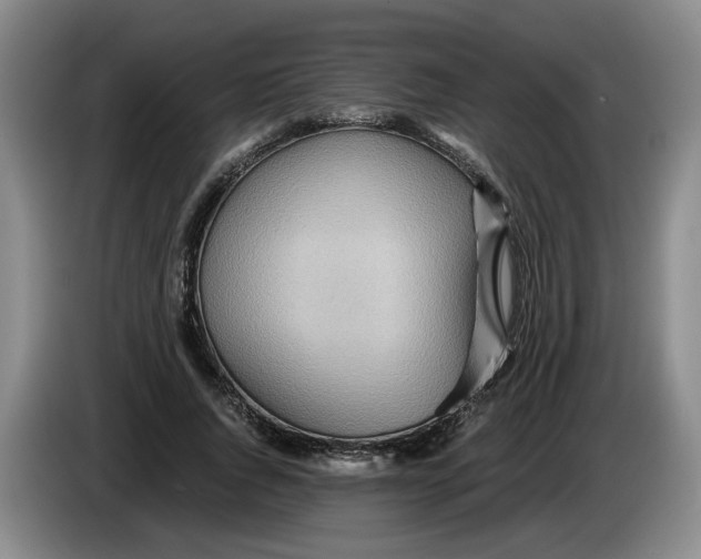 X0000084030736200703092010