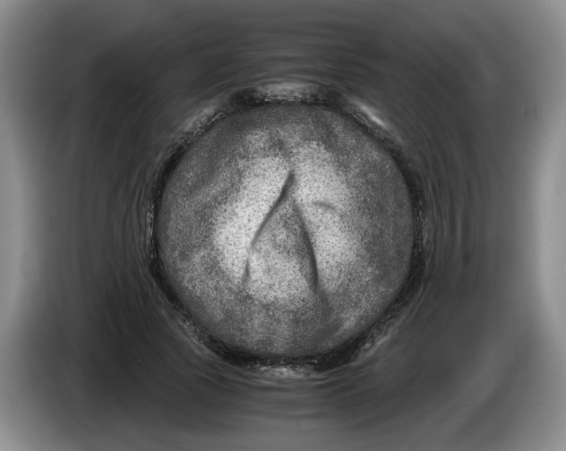 X0000084030737200703092010