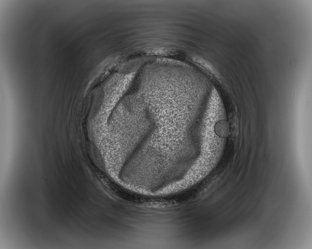 X0000084030738200703092010