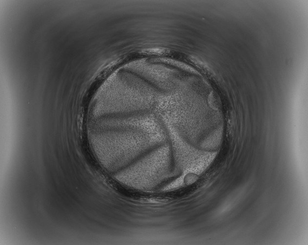 X0000084030739200703092010