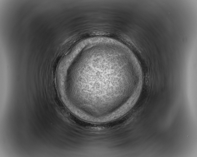 X0000084030741200703092010