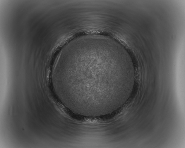 X0000084030742200703092010