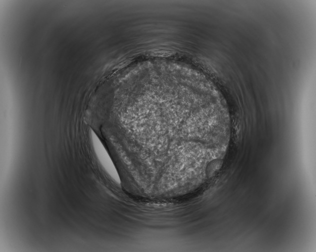 X0000084030745200703092010