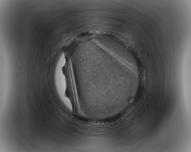 X0000084030746200703092010