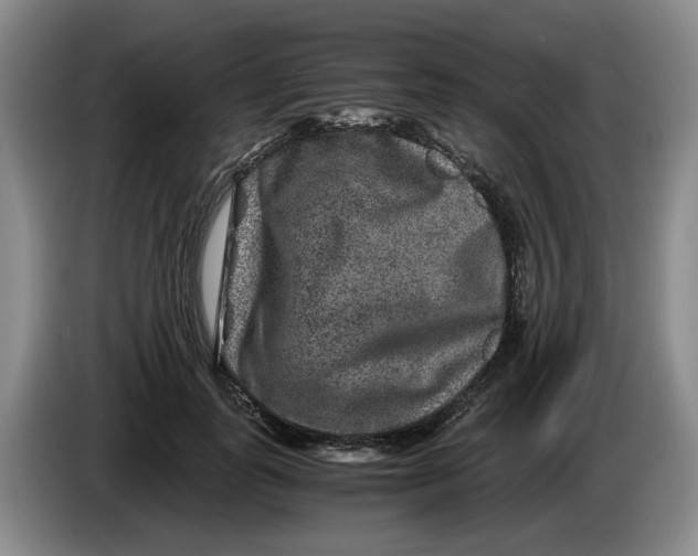 X0000084030747200703092010