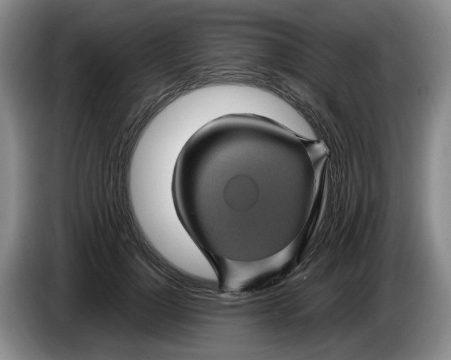 X0000084030748200703092010