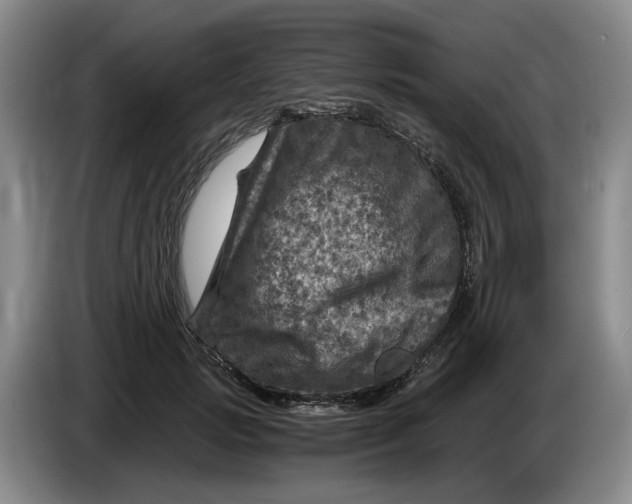 X0000084030749200703092010