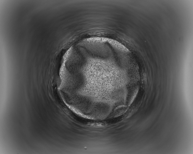 X0000084030751200703092010