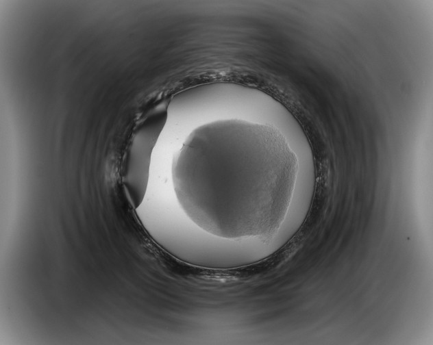 X0000084030754200703092010