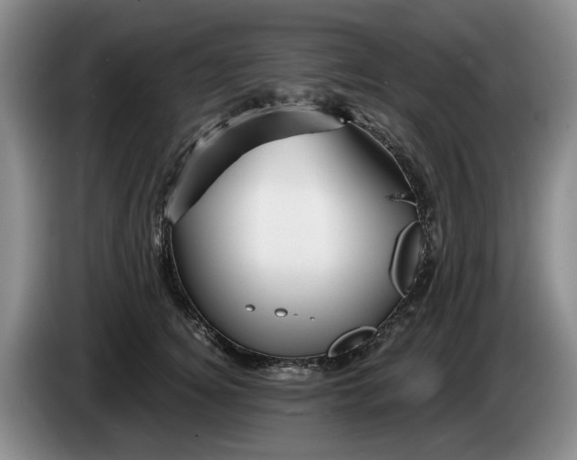 X0000084030756200703092010