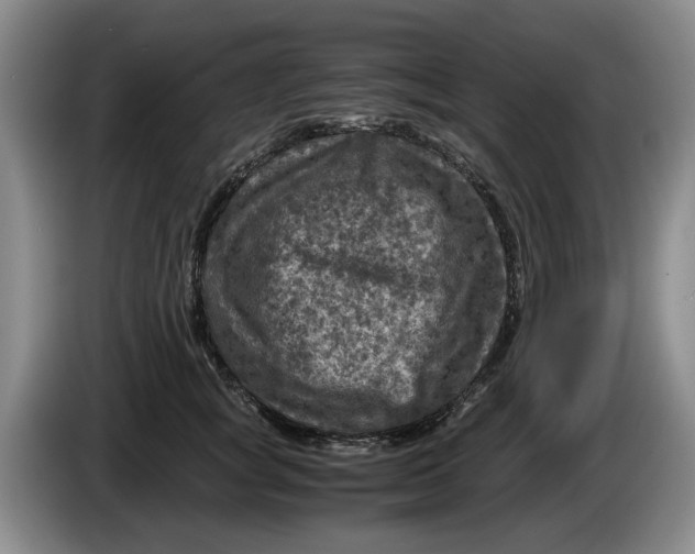 X0000084030757200703092010