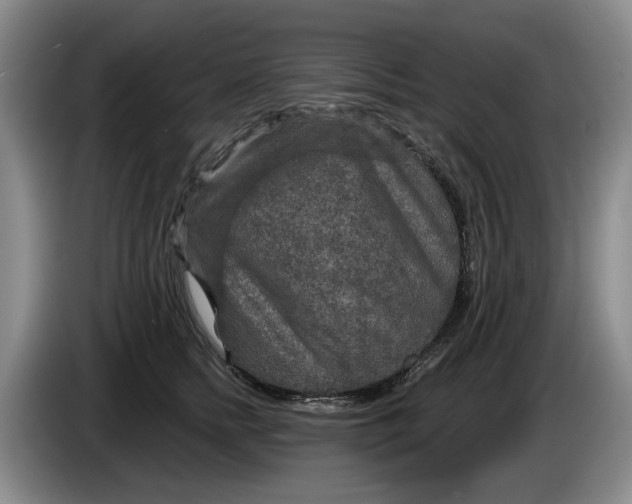 X0000084030758200703092010