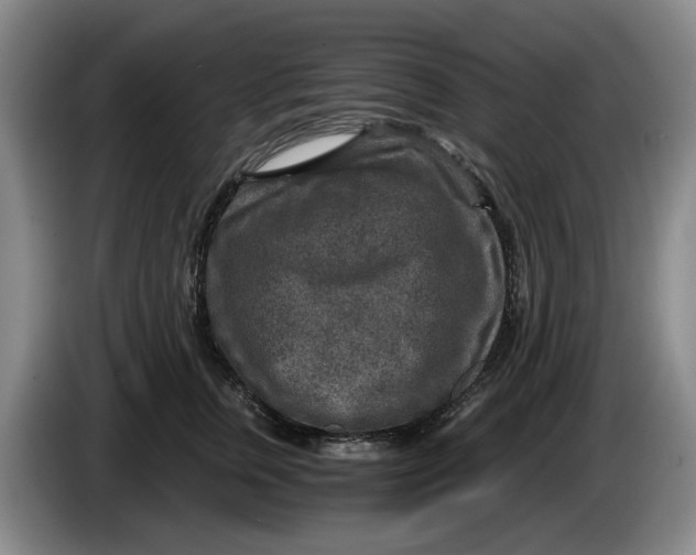 X0000084030759200703092010