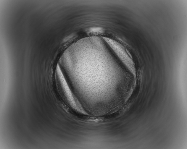 X0000084030760200703092010