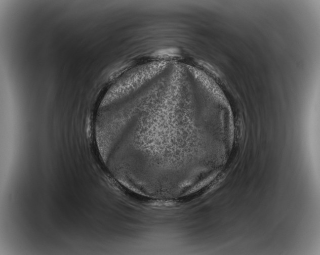 X0000084030762200703092010