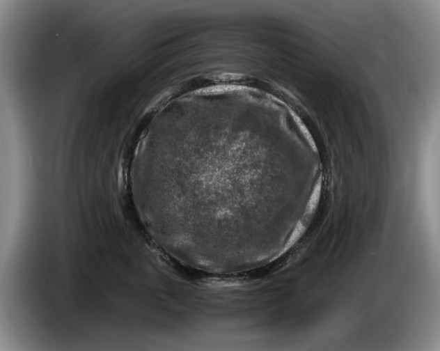 X0000084030763200703092010