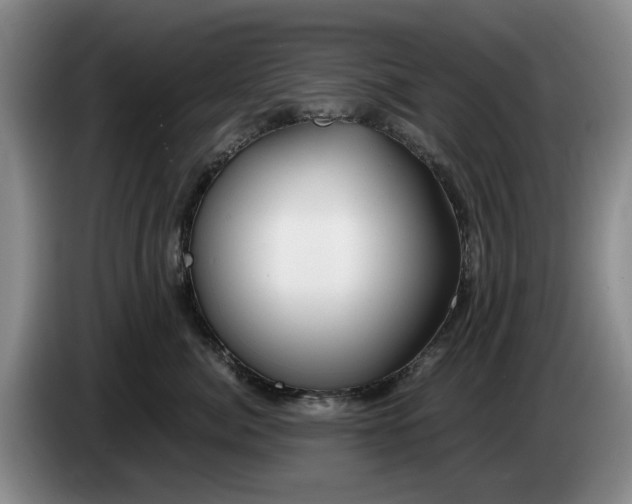 X0000084030764200703092010