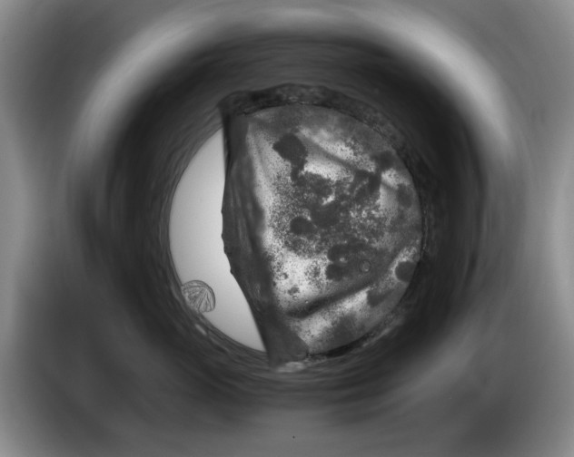 X0000084030765200703092010