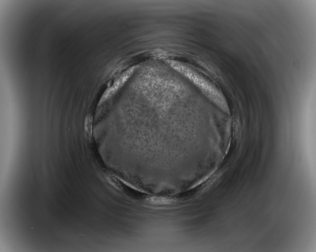 X0000084030766200703092010