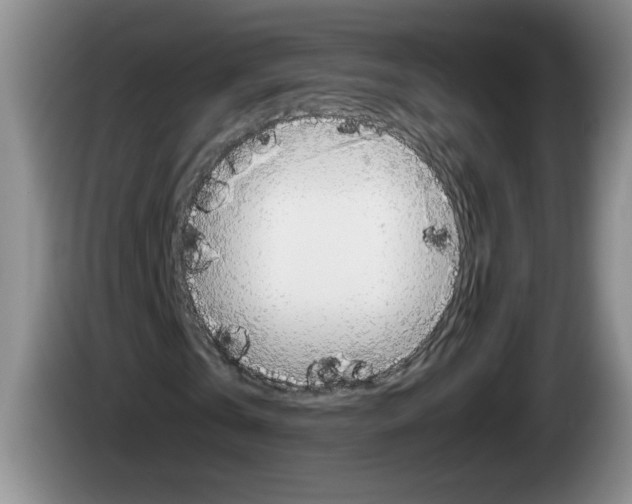 X0000084030769200703092009