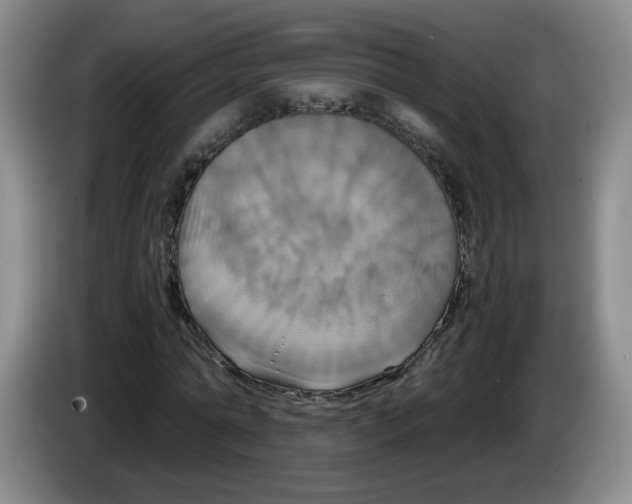 X0000084030774200703092009