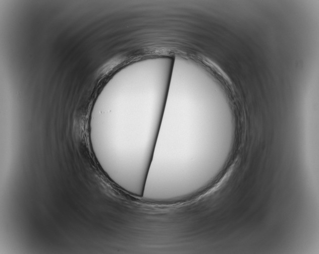 X0000084030777200703092009