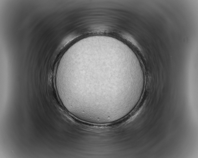 X0000084030778200703092009