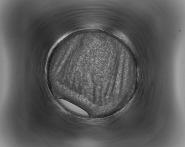 X0000084030780200703092009