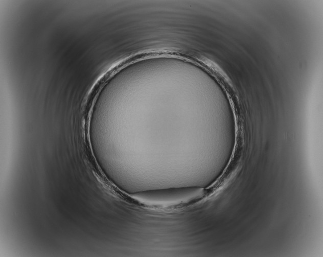 X0000084030781200703092009