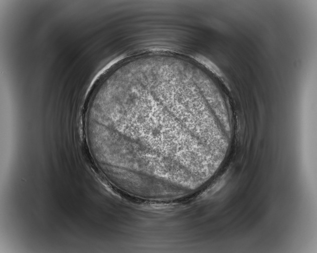 X0000084030782200703092009