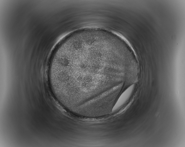 X0000084030783200703092009