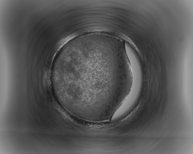 X0000084030786200703092009