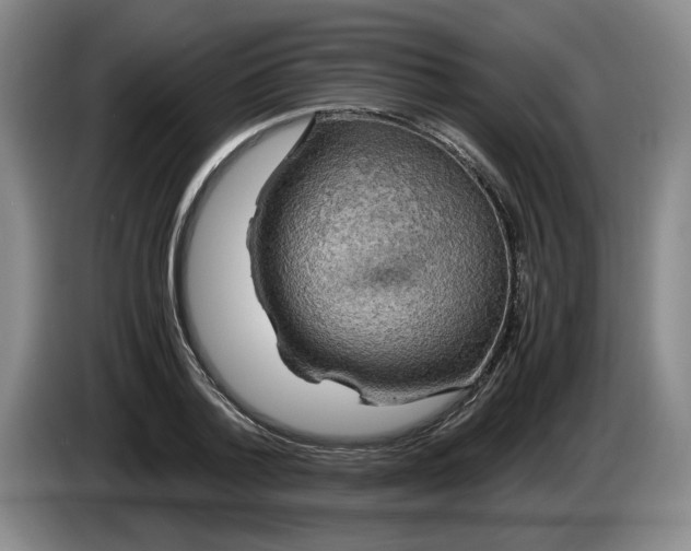 X0000084030788200703092009