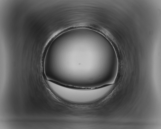 X0000084030789200703092009