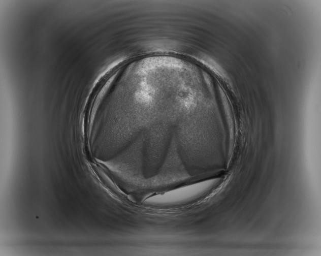 X0000084030790200703092009