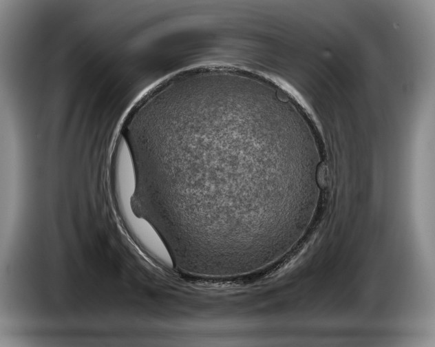 X0000084030791200703092009